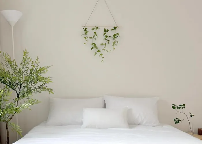 Hostay Cheongdam 2br Gangnam 5 Oliveyoung Apartment